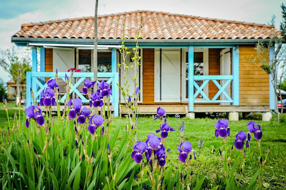Domaine De Chadeyron Hotel Lagorce  Exterior foto
